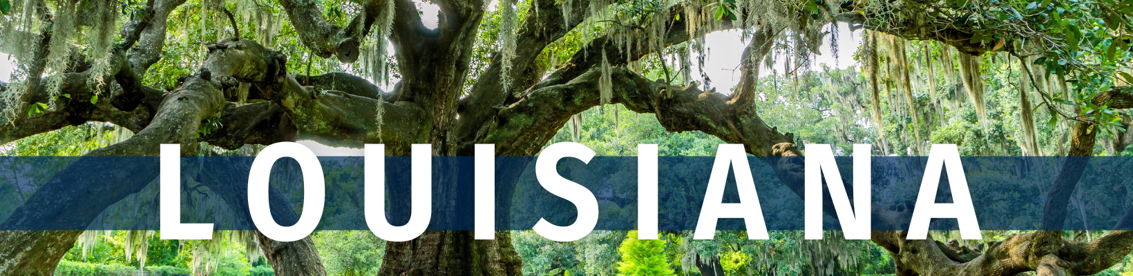 Louisiana Travelogue - website header