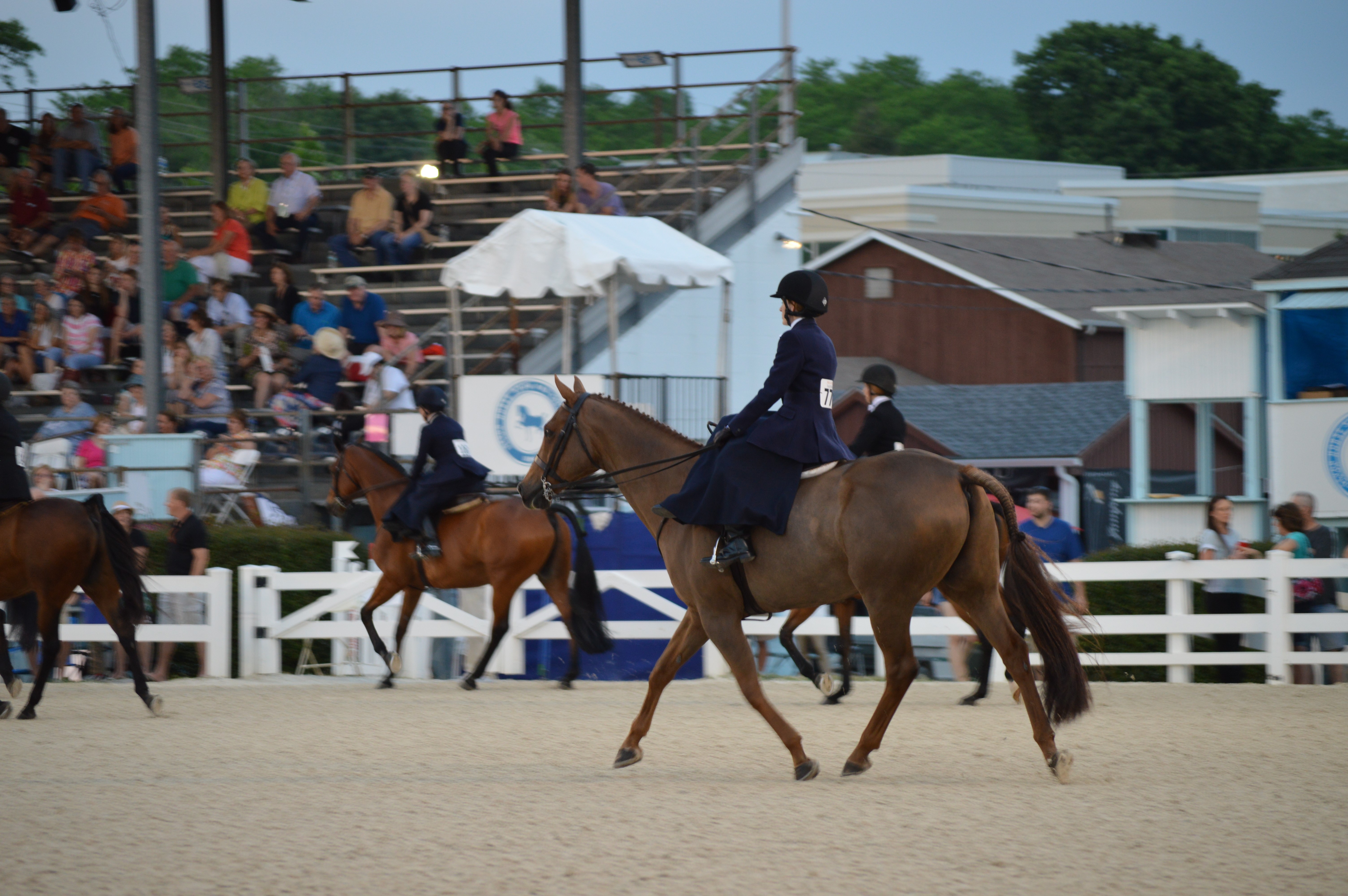 2024 July 09 - Weekly Member Feature - Terisa Shoremount - sidesaddle with forest