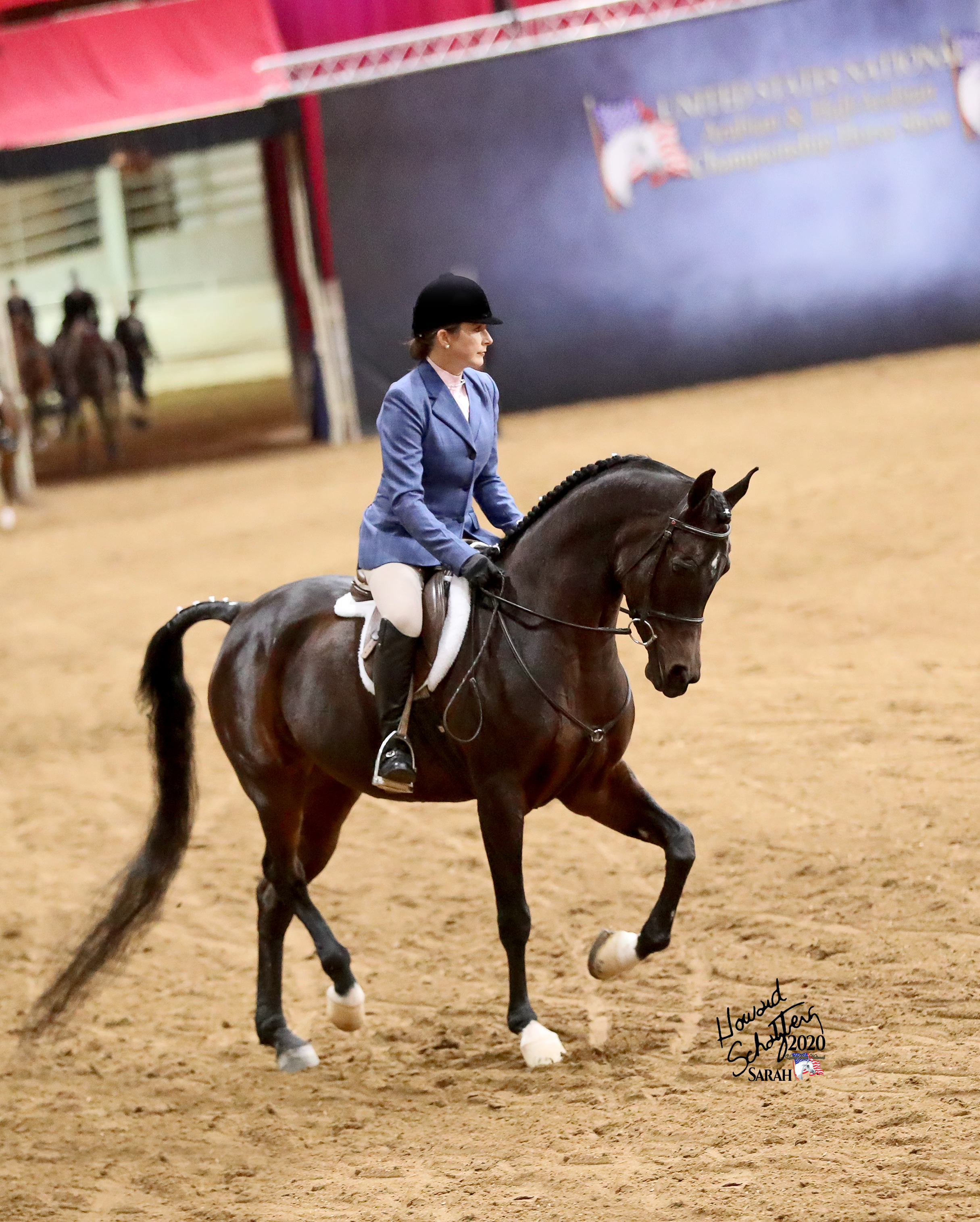 2022 June 27 - Weekly Member Feature - Kathryne Baldwin - horse 2