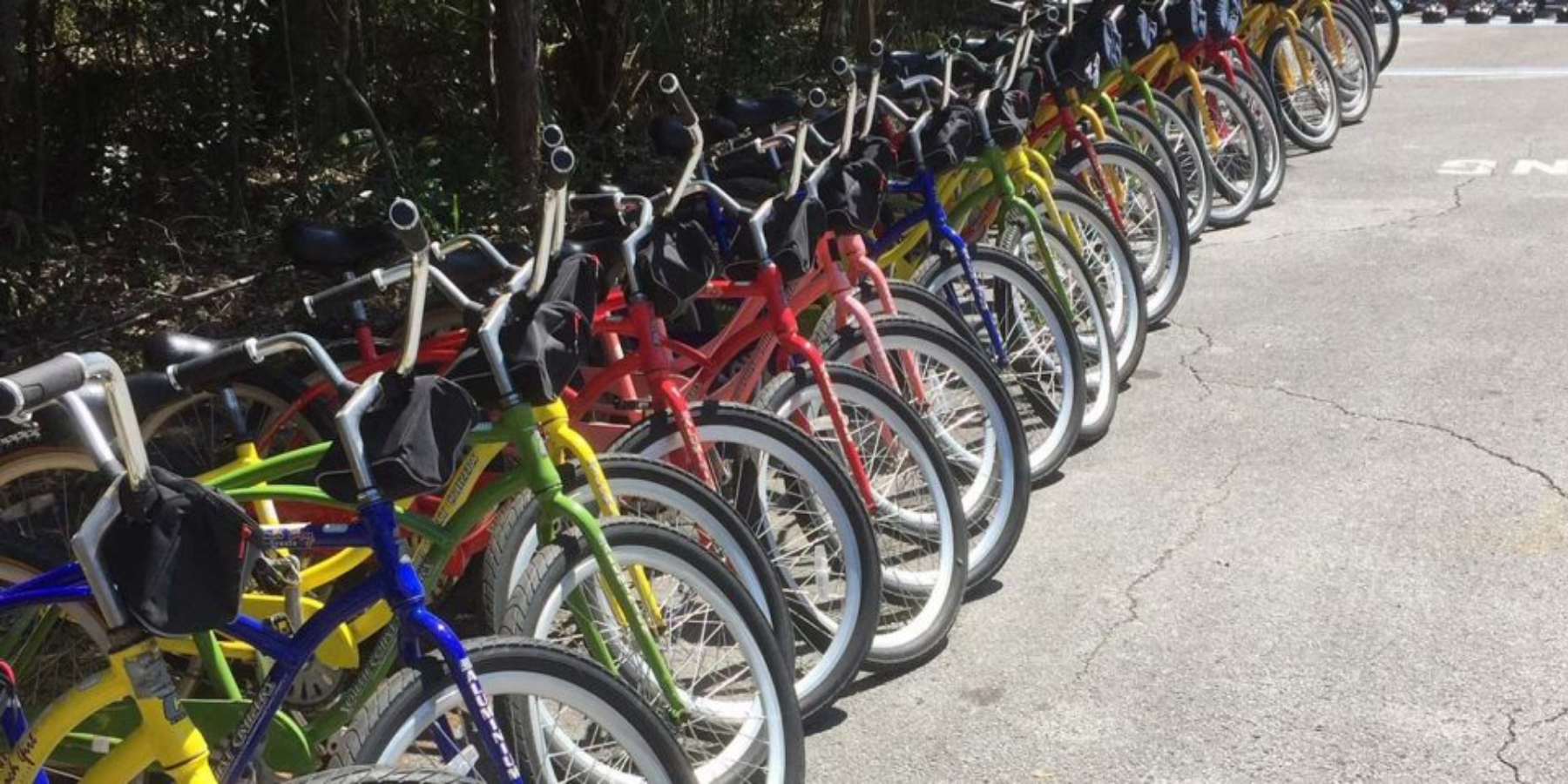 2025 PDI Convocation - Friday Leisure Activity - Fort Clinch Bike Tour